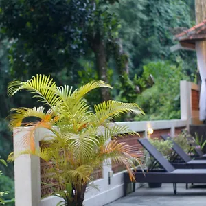 Gasthuis Hanaka Riverside, Ubud
